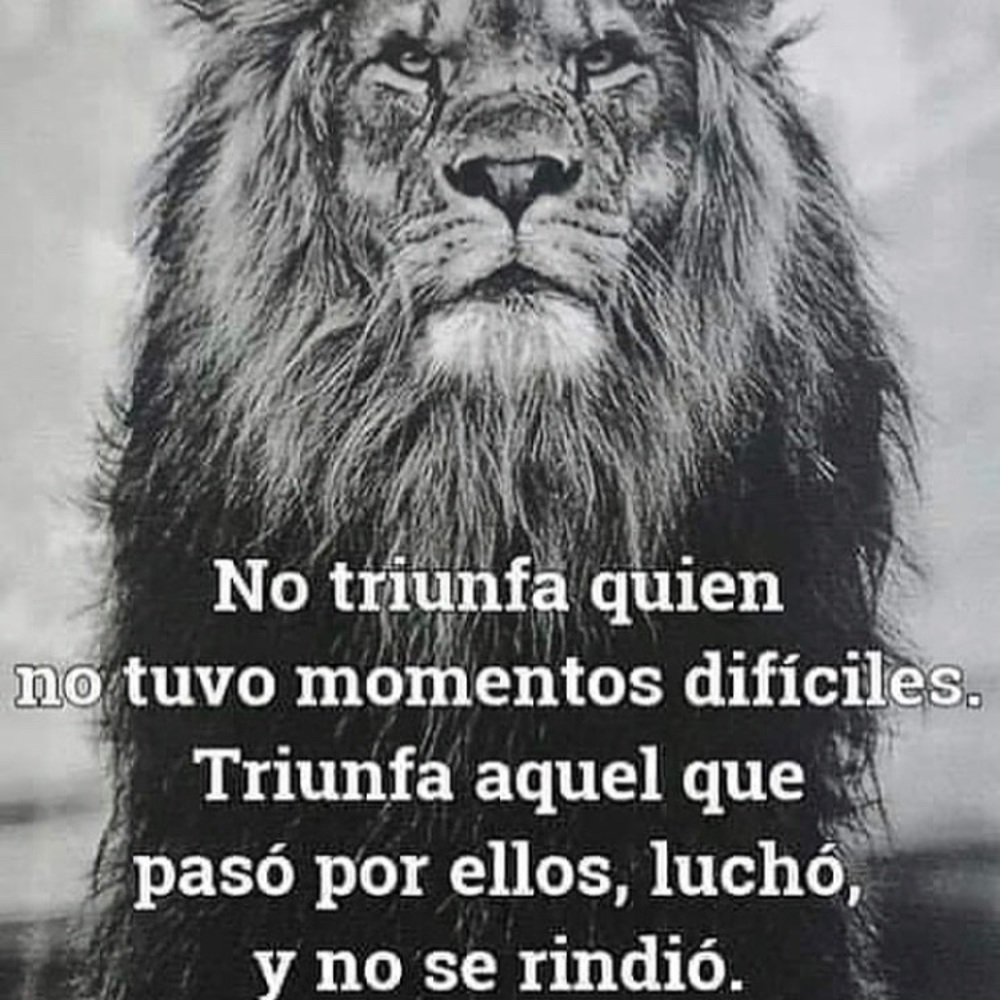 Meet your Posher, Viviana